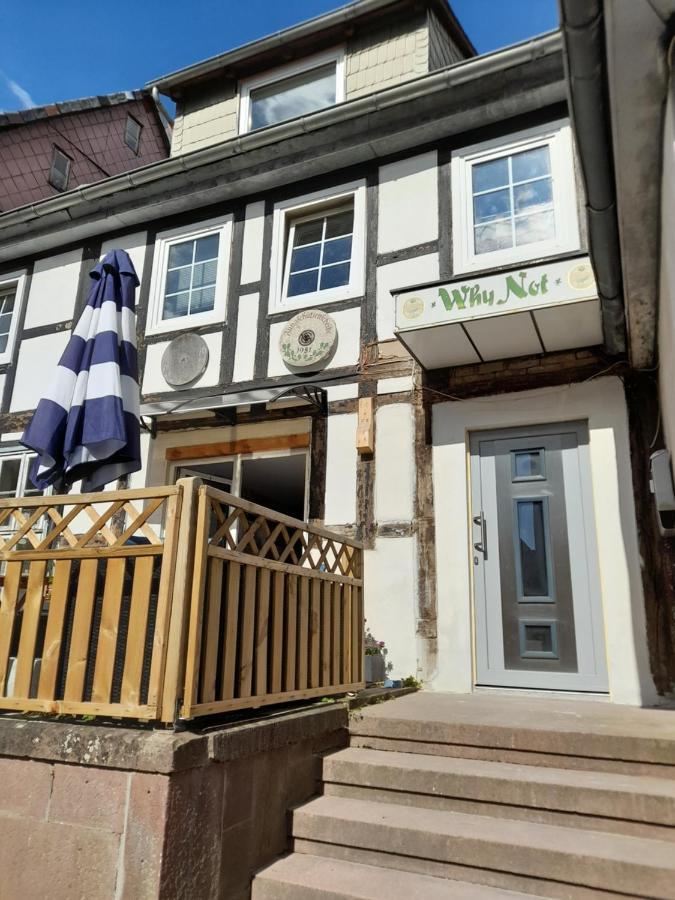Ferienwohnung Why Not Polle المظهر الخارجي الصورة